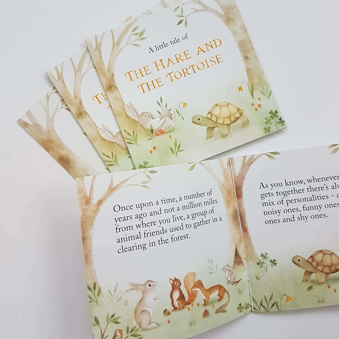 Hare and Tortoise Swaddle