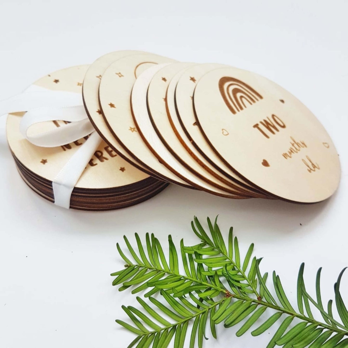 Baby milestone discs