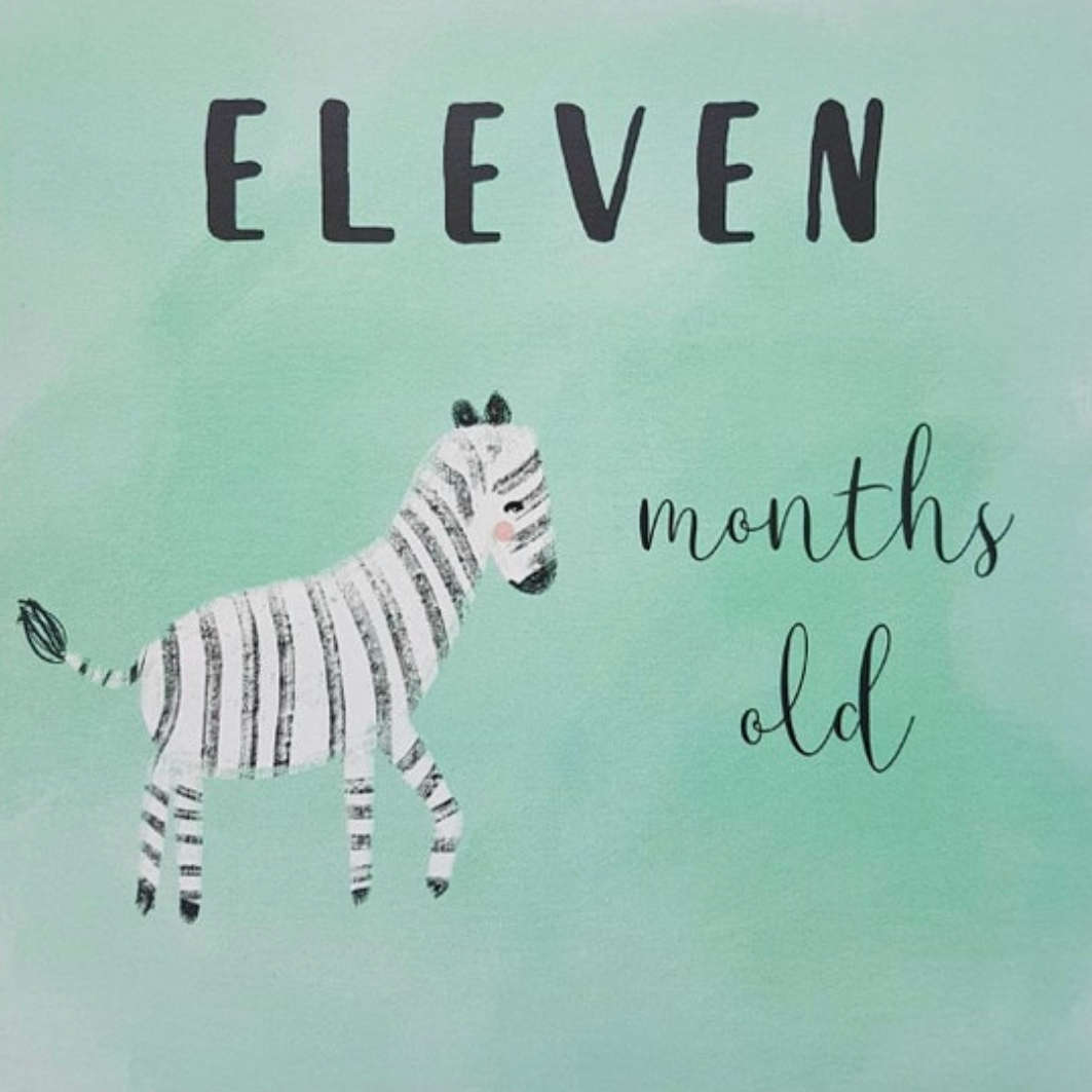 Baby animals milestone cards