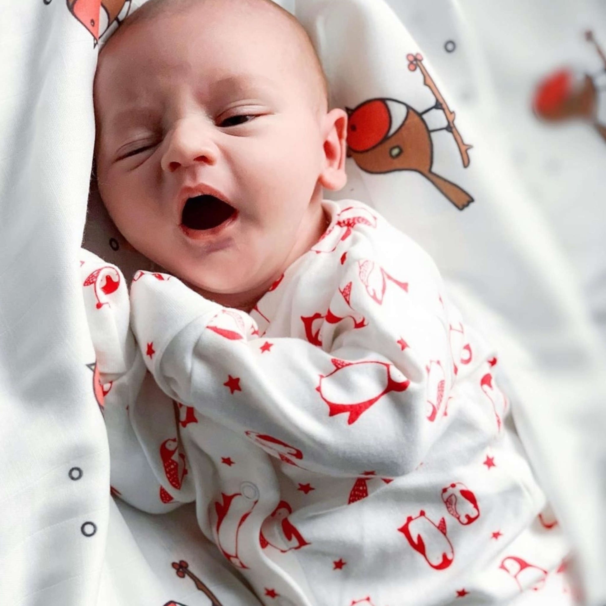 Sleep time for little one in our Robin swaddle.